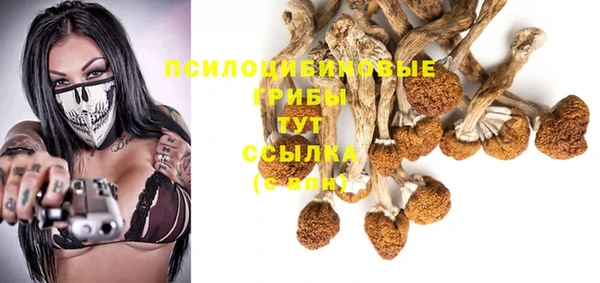 прущие крисы Алексин
